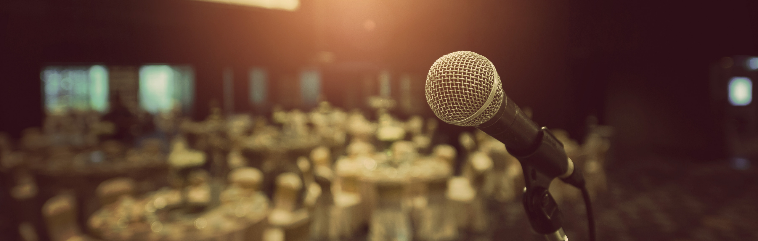 Runder Mikrofonkopf vor verschwommenen Raum